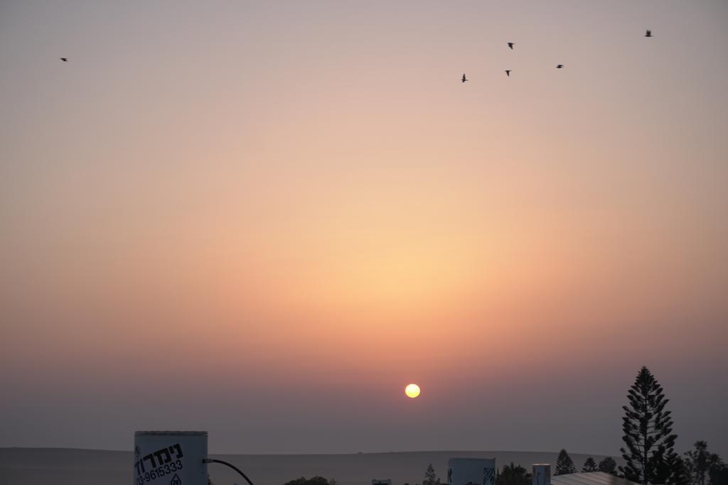 Dead Sea Yehuda * Arad